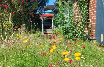 Ferienwohnung Am Freitagsbach - Photo 5