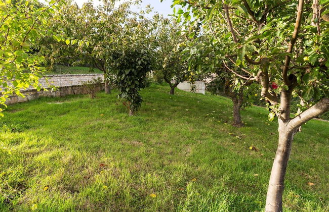 Belvilla by OYO Casa Vacanza Becampobasso 6 - Foto 24