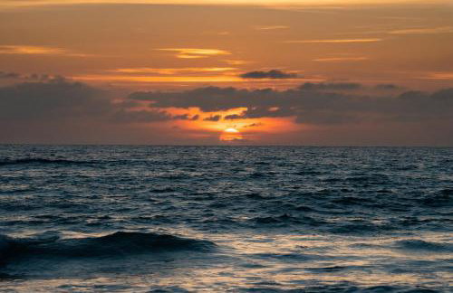 Cornelia Hippie Magic Bus - Foto 49