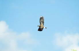 Casas Rurales Cortijo la Cañada - Photo 28