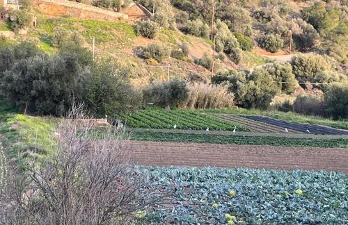 ALTAVILLAS maisonettes - Foto 9