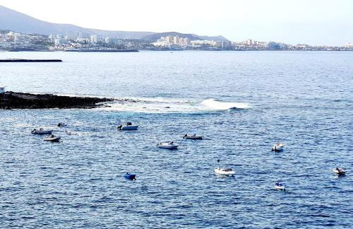 Casa Libra - Foto 55