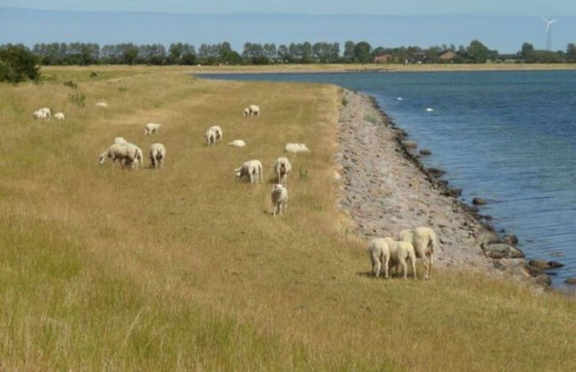Wohnung in Orth Nahe Ostsee - Foto 29