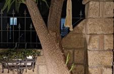 Calabrian Home - Foto 24