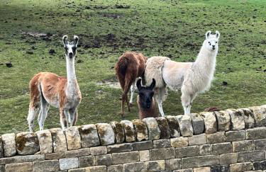 Kiln House Lodge - Photo 28