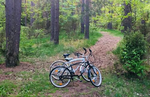 Sosnowy Zakatek - Foto 48