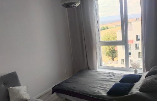 Apartament na Letniej Klimatyzacja - Foto 6