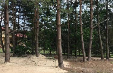 Leśny Domek - Foto 18