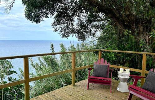 House in Ponta Garça - Photo 18