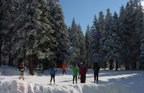 Appartement im Himmelreich - Foto 20