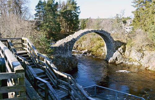 Tall Pines - Foto 19