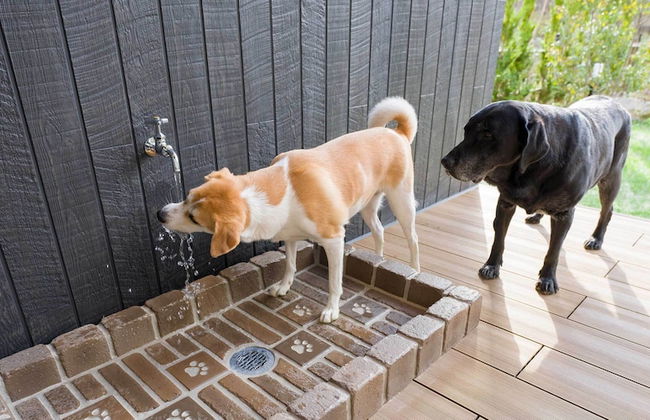 Rakuten STAY VILLA Nasu - Foto 69