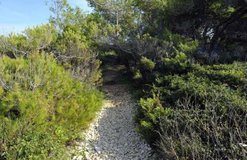 Grandpa Mate House - Foto 61