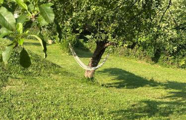 Apartman Perla - Foto 37