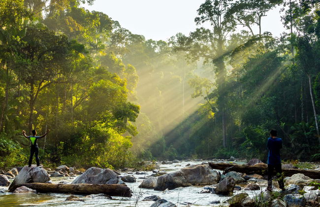 Excursion dans la jungle Taman Negara - Photo 1