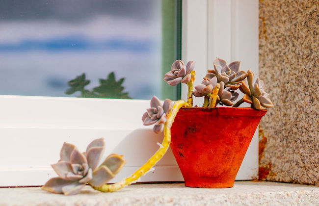 Casa Darcã - Foto 16