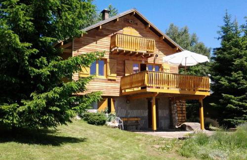 Chalet spa bath fireplace ski-in out - Foto 1