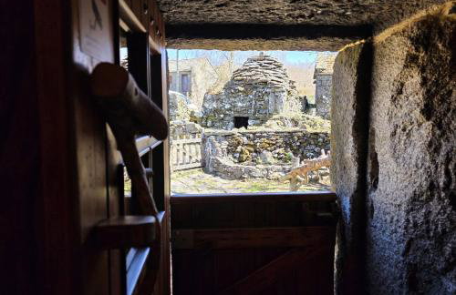 Cardenha das Formiguinhas - Foto 15