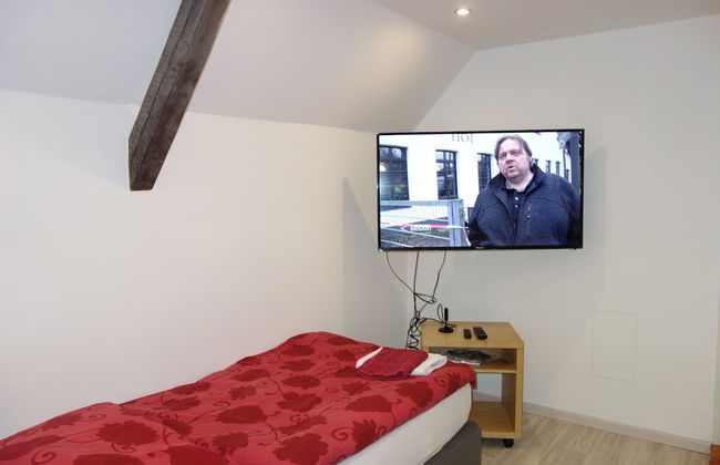 Tolstov-Hotels Large 3 Room Apartment with Garden - Foto 16