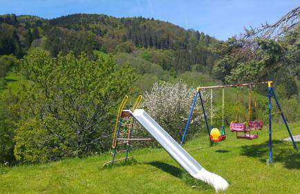 Steiert Panorama Apartments Todtnau - Foto 56