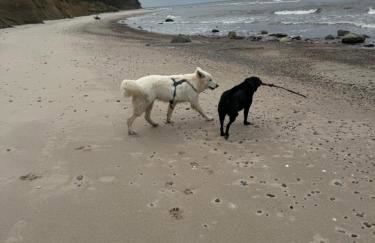 Corner House Plesna - Foto 22