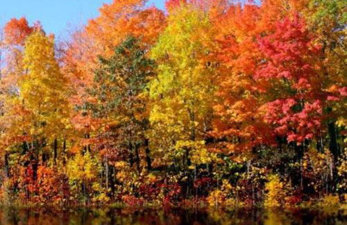 Melvin Village - 5 Bed 3 Bath Arcade Near Lake Pet Friendly fee applies - Foto 54