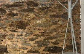 Lugar da Borralheira - Foto 8