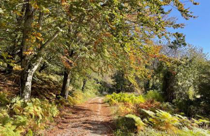 Casa fiordaliso - Foto 40