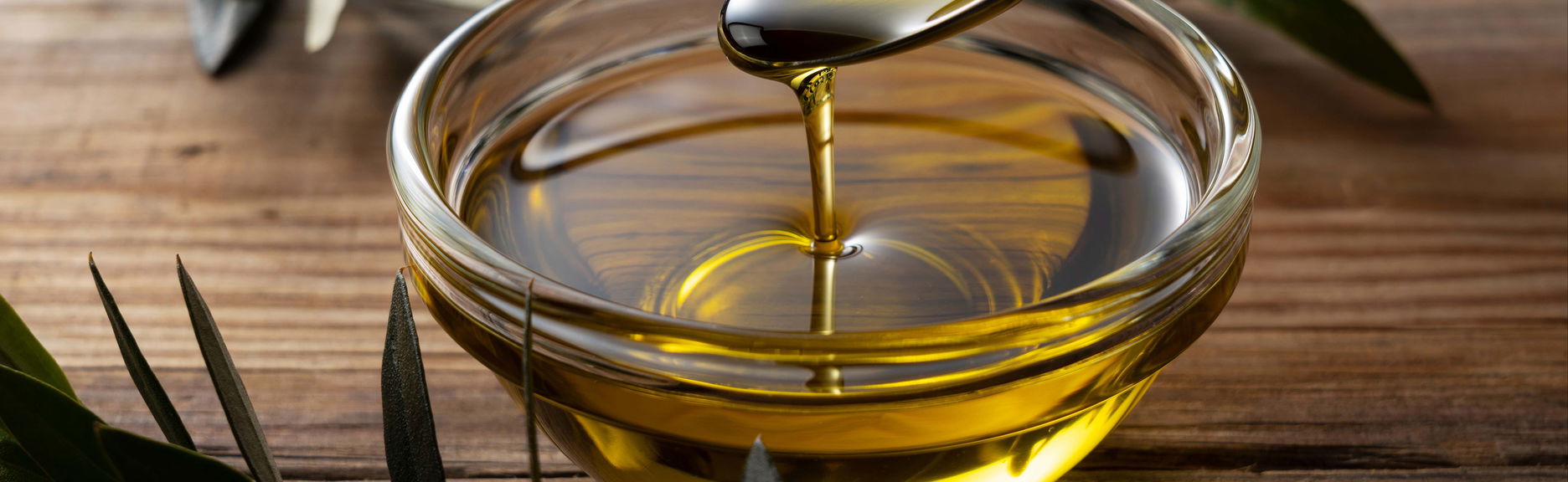 Visita a um olival e a um lagar de azeite + Degustação de azeites