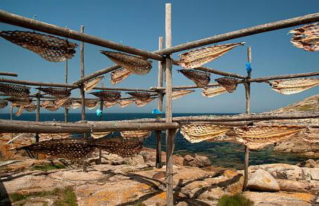 Casa Castiñeira - Foto 23