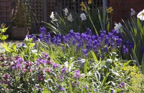 Groves Barn at Norton Grounds - Photo 29