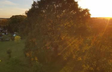 Mühlen-Oase in der Scharmützelsee Region - Foto 21