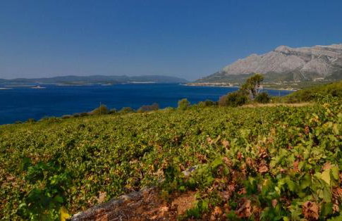 Holiday Home Biserka - Photo 30