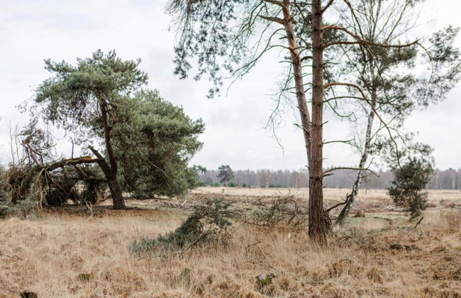 Villa in Someren Near Somerense Heide - Photo 39