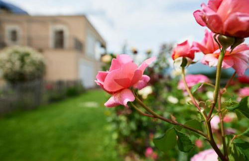 Weingut Stuck - Foto 29