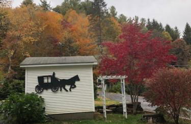 River Run Cottage Modern 2BR Waterfront Retreat in Linville Land Harbor - Foto 5