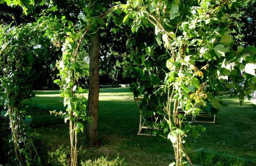 La Francigena - Foto 8