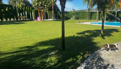 Quinta Das Palmeiras - Foto 2, Garden