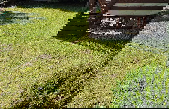 Apartments Kroměříž - Photo 53