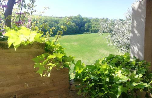 Agriturismo i Cigni - Foto 7