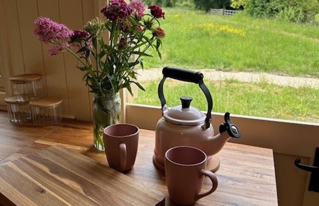 Shepherdshut-cotswolds-petfriendly-woodburner - Foto 30