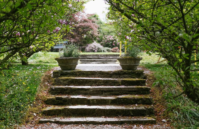 Ballyvolane House - Photo 58