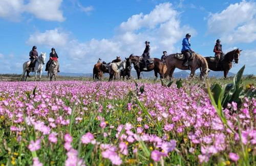 Domus Deiana Case Vacanza - Foto 9