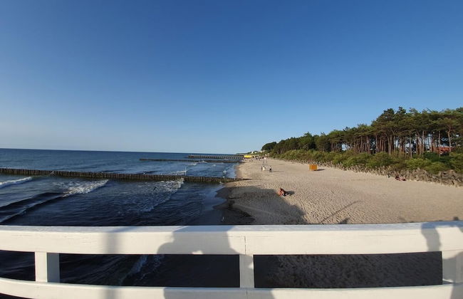 DWIE SOSNY-Apartament na wydmie - 365PAM - Photo 62