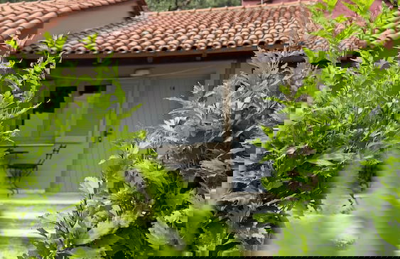 Olga's Sea View Studios -500m from Ipsos - Foto 1