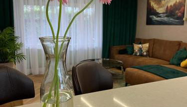 MS HOUSE Apartament - Foto 3