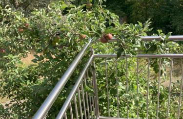 Villa Sonnenblick 13 Minuten zum #Playmobil #Funpark - Foto 76