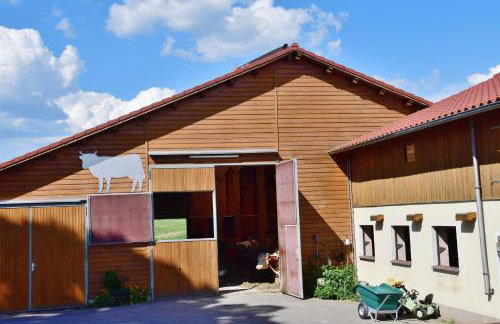 Ferienwohnung Burgerhof - Foto 4