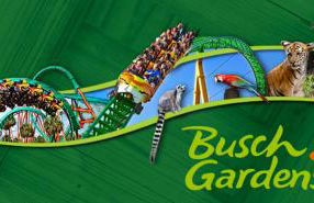 Vintage Family Scape + heated pool&discount - Foto 49