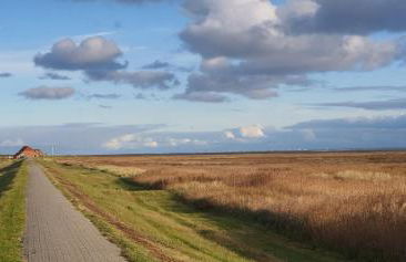 Heimathafen Juist - Foto 59